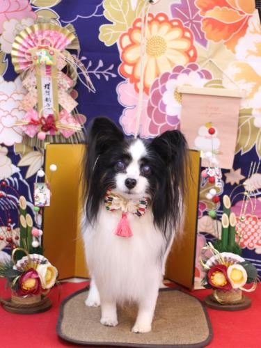 20240114ととくん